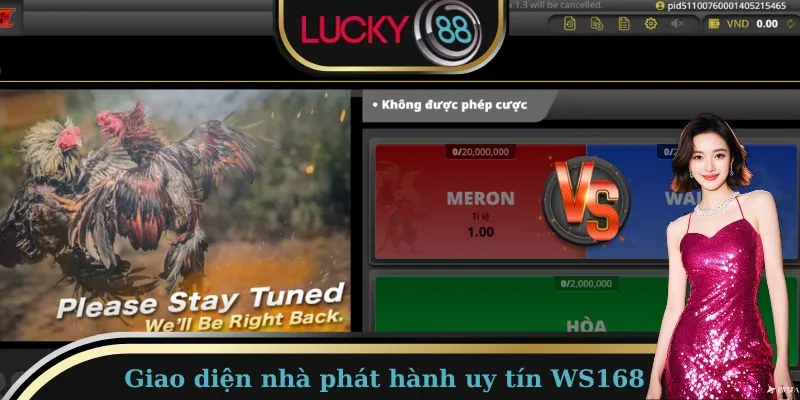 Giao diện nhà phát hành uy tín WS168