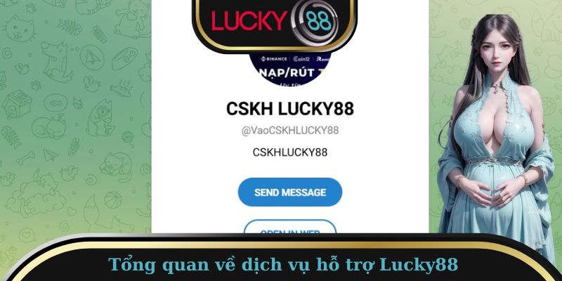 Hỗ trợ Lucky88 – Dịch vụ chuyên nghiệp, uy tín hàng đầu 1 Tổng quan về dịch vụ hỗ trợ Lucky88