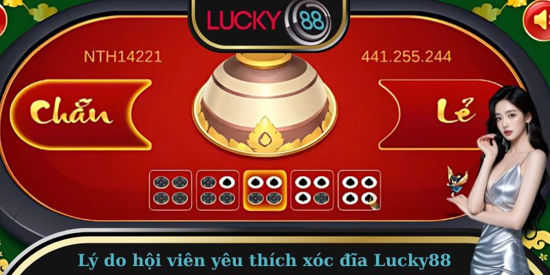 Xóc Đĩa Lucky88 - Siêu Phẩm Hấp Dẫn Top 1 Làng Giải Trí 2 Top 5 lý do khiến hội viên yêu thích xóc đĩa Lucky88
